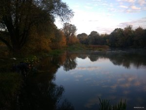 IMG_20181006_072431476.jpg