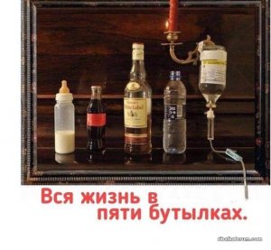 image-0-02-05-7a24bf39cd7d8a2cf9e98d50b6c00c5f046d4f525f8d87a92e40ccecb9837a9d-V.jpg