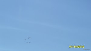 SAM_0080.JPG