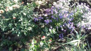 20181007_085225.jpg