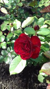 20181007_123109.jpg