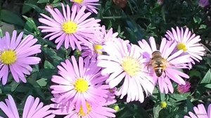 20181007_133535.jpg