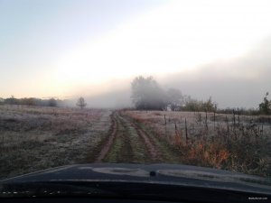 20181006_063909.jpg