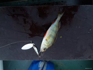 20181006_073456.jpg