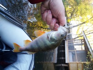 20181006_080552.jpg