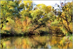 IMG_0047a.JPG