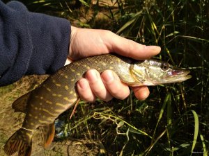 IMG_20181011_113913.jpg