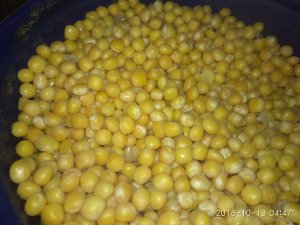 IMG_20181013_044702.jpg