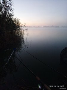 P81013-063542.jpg