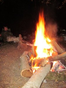 IMG_9420.JPG