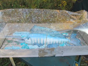 IMG_8960.JPG