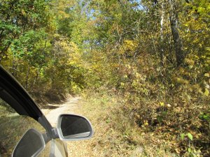IMG_9527.JPG