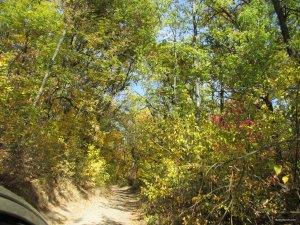 IMG_9528.JPG