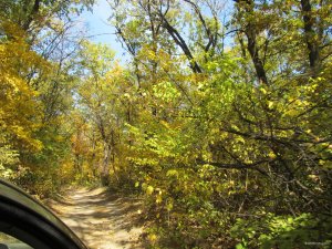 IMG_9529.JPG