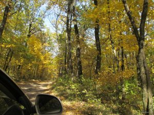 IMG_9532.JPG