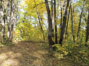 IMG_9535.JPG