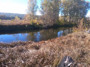 IMG_20181013_095545.jpg