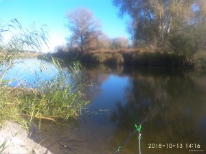 IMG_20181013_141646.jpg