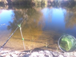 IMG_20181013_141639.jpg