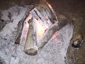 IMG_20181014_052657.jpg