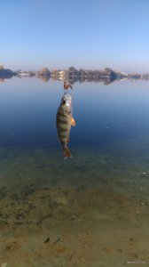 IMG_2018-10-16_102952.jpg