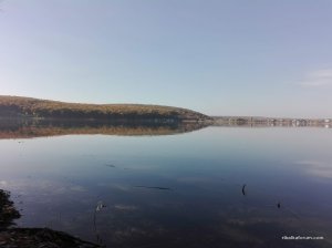 IMG_20181017_140928.jpg