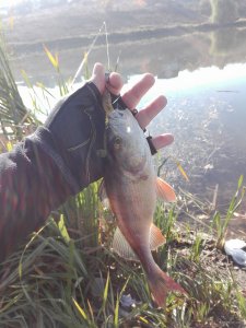 IMG_20181018_102501.jpg