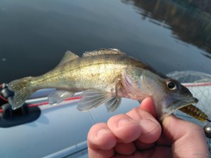 IMG_20181020_091804.jpg