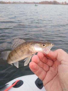 IMG_20181020_170941.jpg