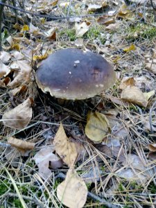 IMG_20181021_151249.jpg