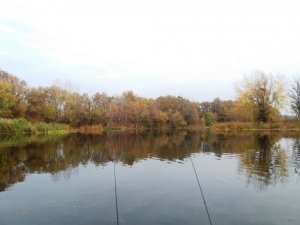 20181021_075611.jpg