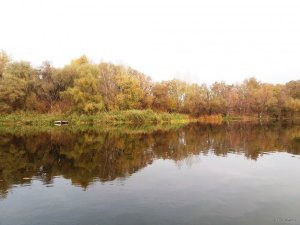 20181021_075719.jpg