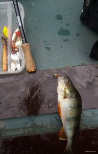 20181021_090950.jpg