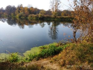 IMG_20181020_123143.jpg