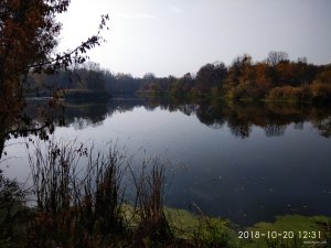 IMG_20181020_123139.jpg