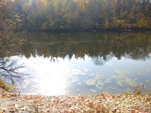 IMG_20181020_124012.jpg
