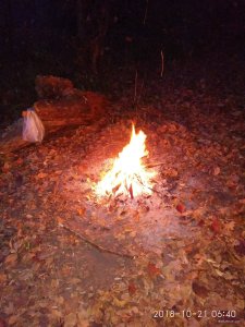 IMG_20181021_064007.jpg