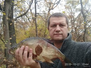 IMG_20181021_104453.jpg
