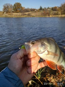 IMG_20181023_105555_HDR.jpg