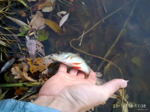 IMG_20181023_113818_HDR.jpg
