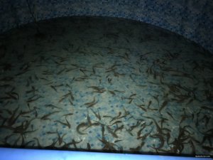 8D923709-E97A-4690-92E6-669048EFFAAC.jpeg