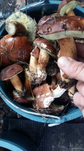 20181025_143737.jpg