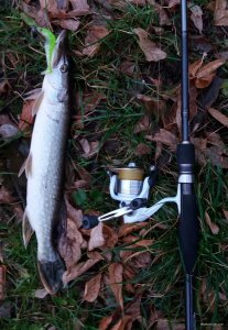20181025_074706.jpg