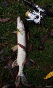 20181025_083949.jpg