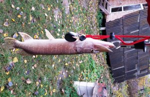 20181025_094712.jpg