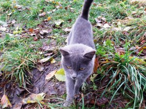 20181025_095718.jpg