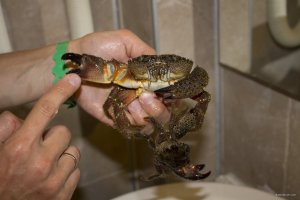 IMG_4814.jpg