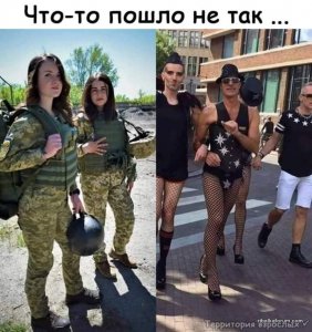 image-0-02-05-9b15094a2fa8bfe9fd0a491e2dc8c118430006c5f35f4d328a9f2c6c8b25c296-V.jpg