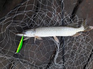 20181026_072714.jpg