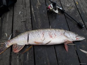 20181026_162720.jpg